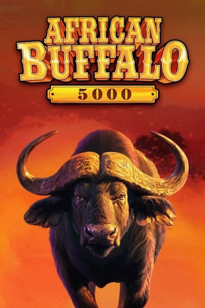 African Buffalo 5000 game at Cleobetra Casino